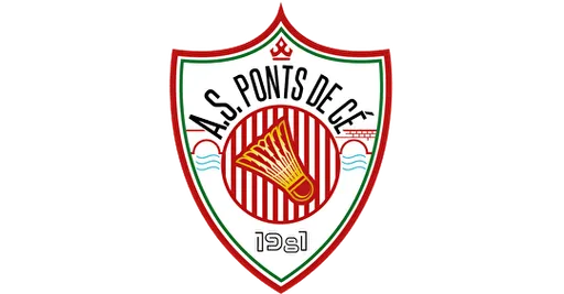 Logo Plumfoot Angers